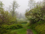 Shenandoah National Park
