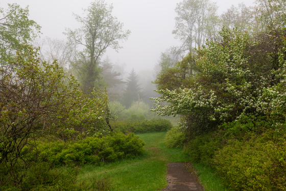 Shenandoah National Park
