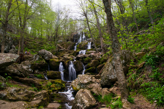 Shenandoah National Park