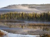 Morning Sites on Opeongo Road, Algonquin PArk
