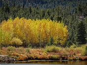 Rocky Mountain National Park 