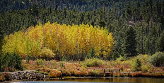 Rocky Mountain National Park 