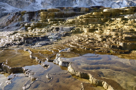 Yellowstone National Park