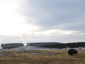 Yellowstone National Park