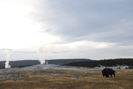 Yellowstone National Park