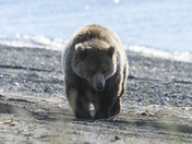 Lake Clark Natl Park