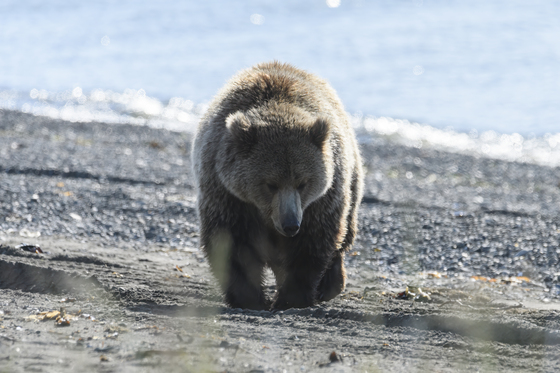 Lake Clark Natl Park