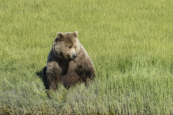  Lake Clark Natl Park