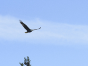  Lake Clark Natl Park