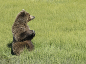  Lake Clark Natl Park