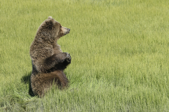  Lake Clark Natl Park