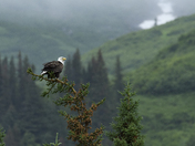  Lake Clark Natl Park