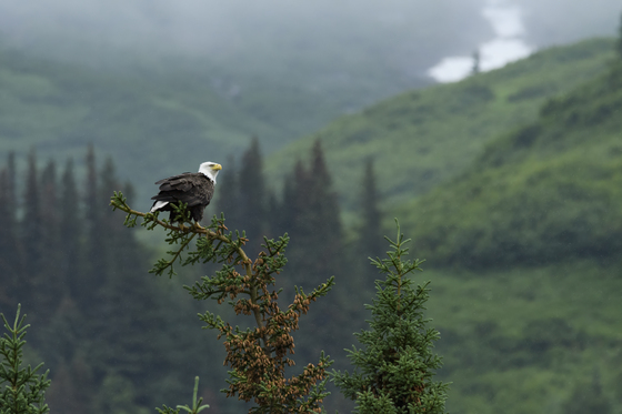  Lake Clark Natl Park