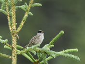  Lake Clark Natl Park