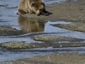  Lake Clark Natl Park