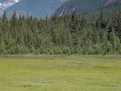  Lake Clark National Park