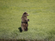 Lake Clark National Park