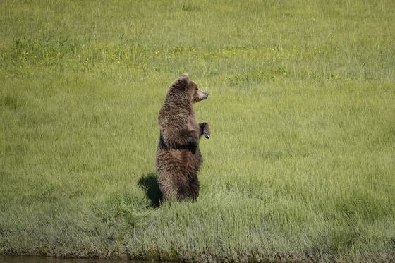  Lake Clark National Park