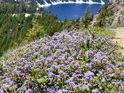 Crater Lake National Park 