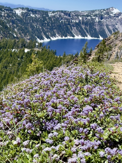 Crater Lake National Park 