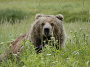  Lake Clark National Park