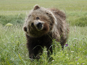 Lake Clark National Park