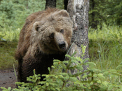 Lake Clark National Park