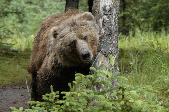 Lake Clark National Park