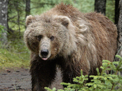 Lake Clark National Park