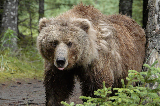 Lake Clark National Park
