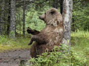 Lake Clark National Park