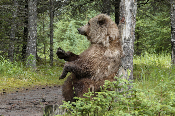 Lake Clark National Park