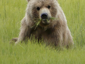 Lake Clark National Park