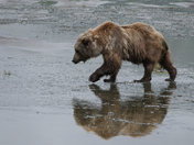 Lake Clark National Park