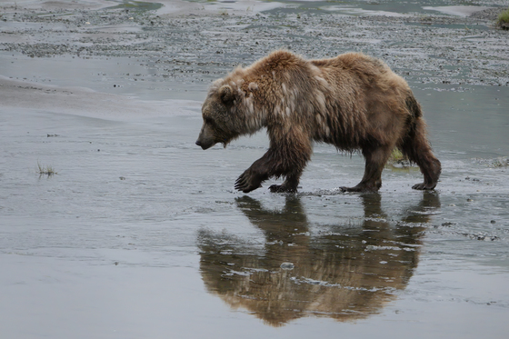 Lake Clark National Park