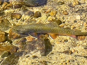 Rocky Mountain National Park 