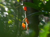 Everglades National Park