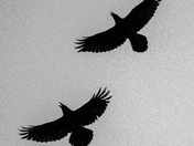 San Juan Island National Park 