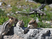 Jenny Lake, Grand Teton Mountains