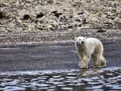 CDN High Arctic expedition