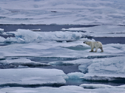 CDN High Arctic expedition