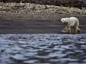 CDN High Arctic expedition