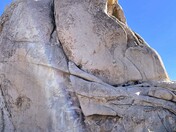 Joshua Tree National park