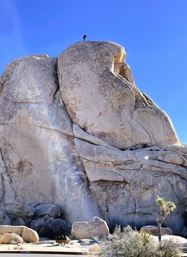 Joshua Tree National park