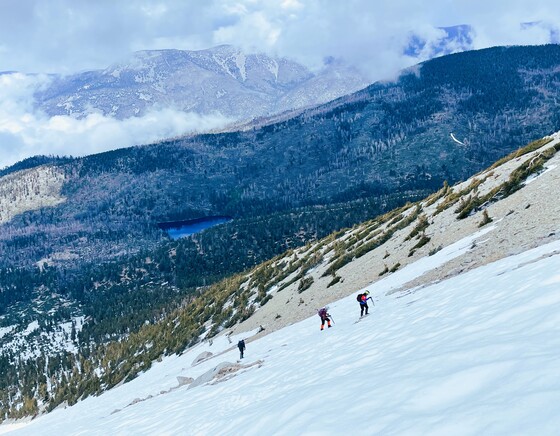 San Bernardino National Forest