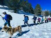 San Bernardino National Forest