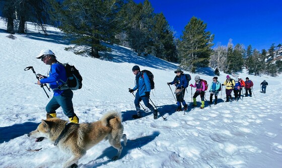 San Bernardino National Forest