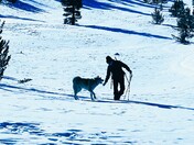 San Bernardino National Forest