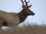 Point Reyes National Seashore