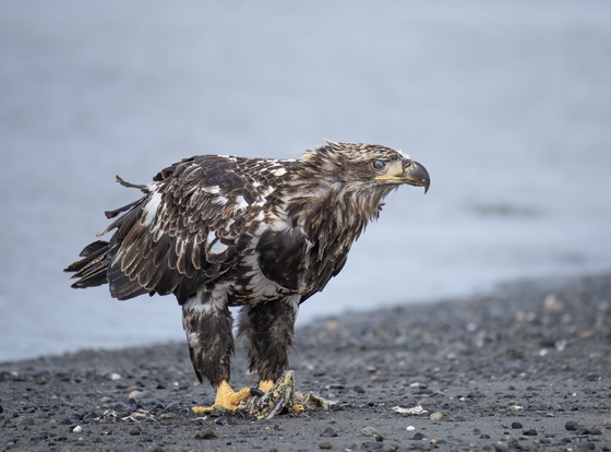 Lake Clark National Park